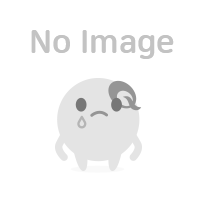 STEGMAN 13646920930 MOTO