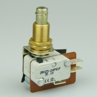 Essen 2MV2524PQ1 16a Microswitch with 31mm plunger