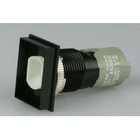 Pushbutton Switch - 18 x 24mm mounted