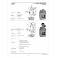 Essen SLRS-OT Limit Switch with roller lever actuator