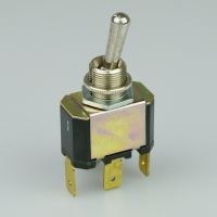 Toggle Switch - 10a - 1P Maintained