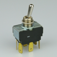 Toggle Switch - 10a - 2P Maintained