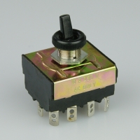Toggle Switch