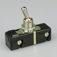 Toggle Switch