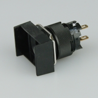 Pushbutton Switch