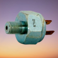 Saia B10008E Brake Light Switch