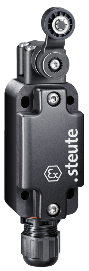 Steute Ex Position Switch with safety function - rocking lever D