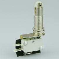 Essen MV2524PR1 16A Microswitch with inline roller